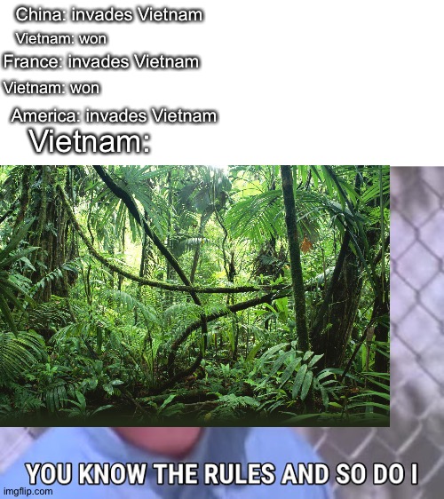 China: invades Vietnam; Vietnam: won; France: invades Vietnam; Vietnam: won; America: invades Vietnam; Vietnam: | image tagged in rick astley you know the rules | made w/ Imgflip meme maker