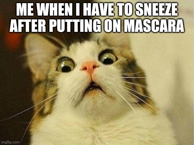 Scared Cat | ME WHEN I HAVE TO SNEEZE AFTER PUTTING ON MASCARA | image tagged in memes,scared cat | made w/ Imgflip meme maker