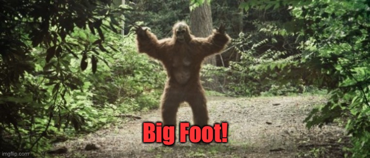 Big Foot | Big Foot! | image tagged in big foot | made w/ Imgflip meme maker