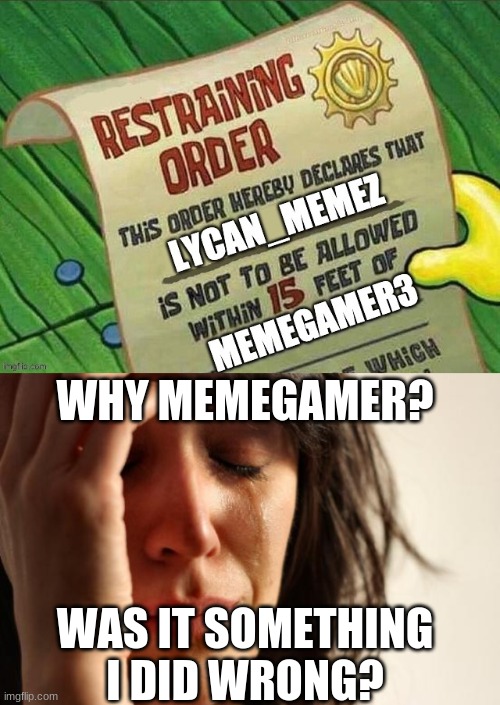 Memegamer pls tell me why | WHY MEMEGAMER? WAS IT SOMETHING I DID WRONG? | image tagged in memes,first world problems | made w/ Imgflip meme maker