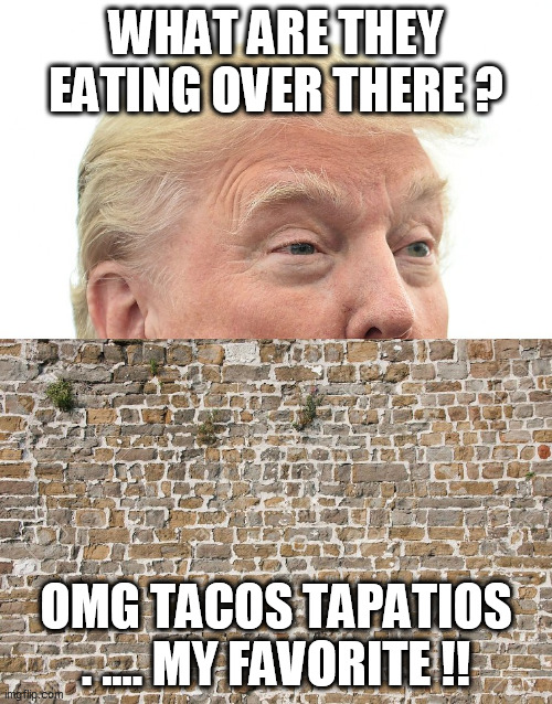 Trump Wall | WHAT ARE THEY EATING OVER THERE ? OMG TACOS TAPATIOS . .... MY FAVORITE !! | image tagged in trump wall | made w/ Imgflip meme maker