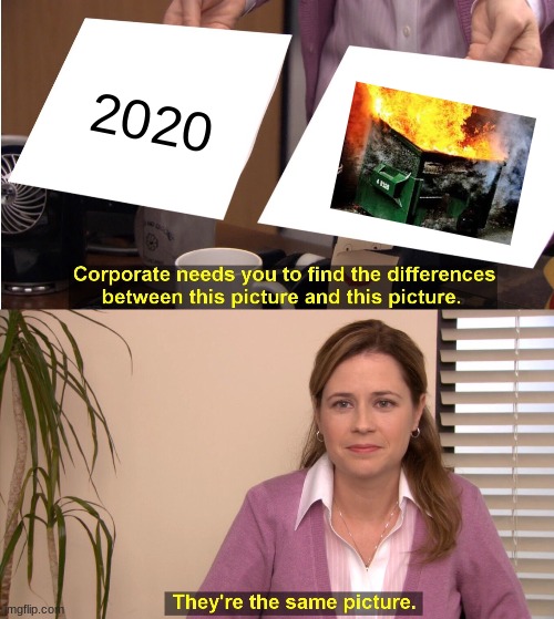 This has never been done before | 2020 | image tagged in memes,they're the same picture | made w/ Imgflip meme maker