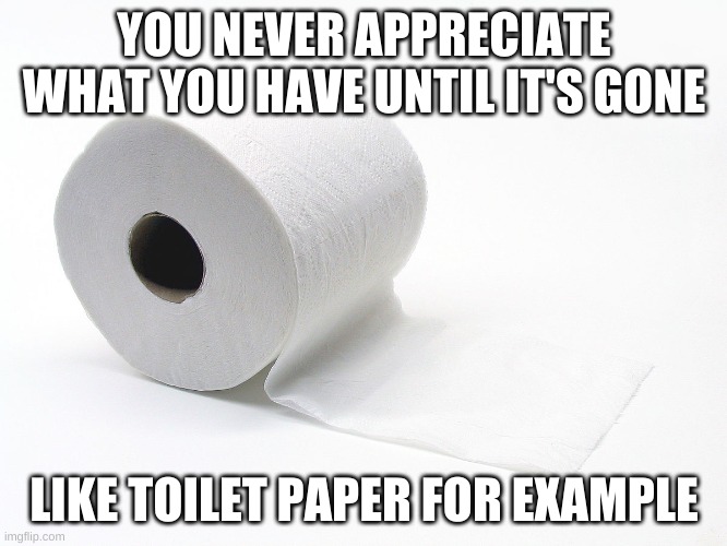 YOU NEVER APPRECIATE WHAT YOU HAVE UNTIL IT'S GONE; LIKE TOILET PAPER FOR EXAMPLE | image tagged in toilet paper | made w/ Imgflip meme maker