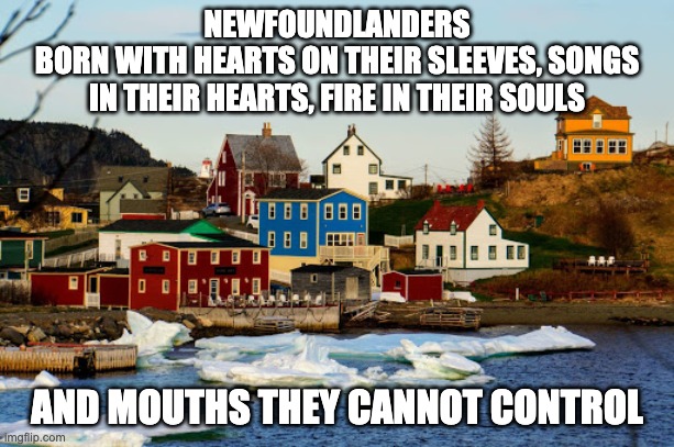 Newfoundlander | NEWFOUNDLANDERS
BORN WITH HEARTS ON THEIR SLEEVES, SONGS
 IN THEIR HEARTS, FIRE IN THEIR SOULS; AND MOUTHS THEY CANNOT CONTROL | image tagged in funny | made w/ Imgflip meme maker