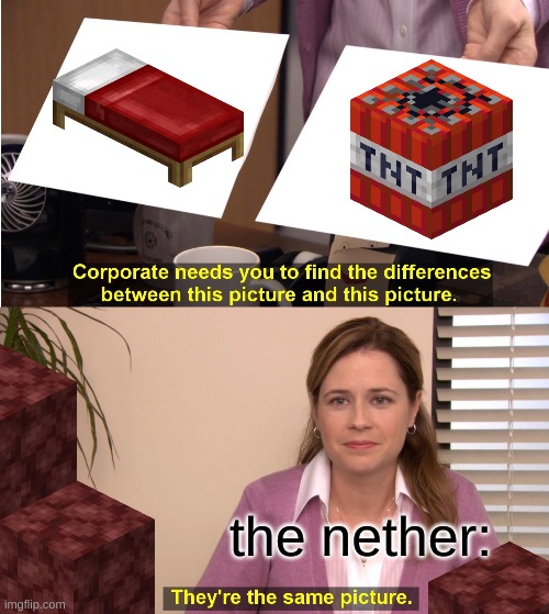 well, it do be like that. | the nether: | image tagged in memes,they're the same picture,funny | made w/ Imgflip meme maker