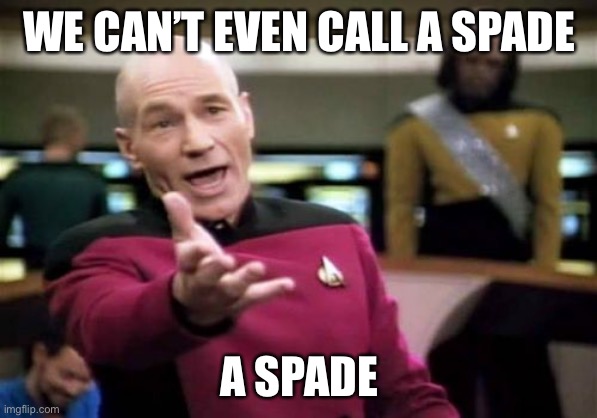 Picard Wtf Meme | WE CAN’T EVEN CALL A SPADE A SPADE | image tagged in memes,picard wtf | made w/ Imgflip meme maker