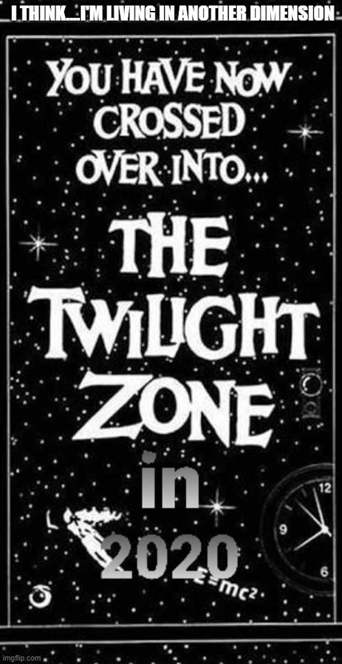 I'm living in another dimension | I THINK....I'M LIVING IN ANOTHER DIMENSION | image tagged in twilight zone,2020,blm | made w/ Imgflip meme maker