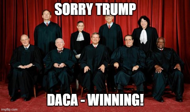 Winning! | SORRY TRUMP; DACA - WINNING! | image tagged in supreme court,daca,politics,immigration,maga,donald trump is an idiot | made w/ Imgflip meme maker