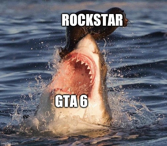 Seal on shark | ROCKSTAR; GTA 6 | image tagged in seal on shark | made w/ Imgflip meme maker