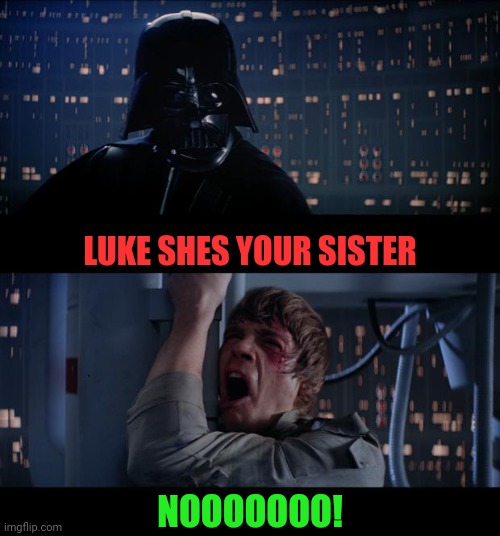 Maybe Its The Alabama Of The Universe | LUKE SHES YOUR SISTER; NOOOOOOO! | image tagged in memes,star wars no | made w/ Imgflip meme maker