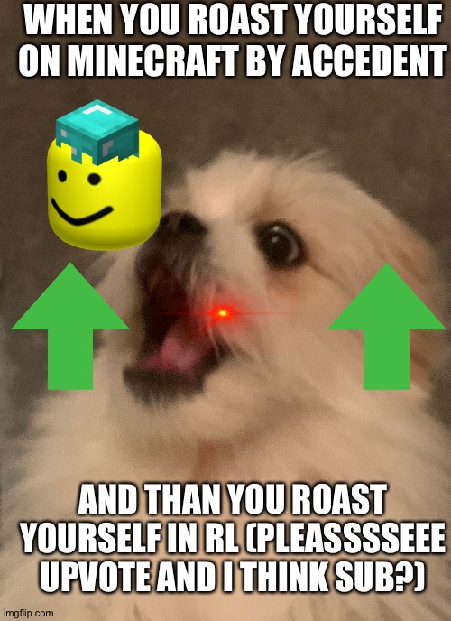 Shocked Puppy | WHEN YOU ROAST YOURSELF ON MINECRAFT BY ACCEDENT; AND THAN YOU ROAST YOURSELF IN RL (PLEASSSSEEE UPVOTE AND I THINK SUB?) | image tagged in shocked puppy | made w/ Imgflip meme maker