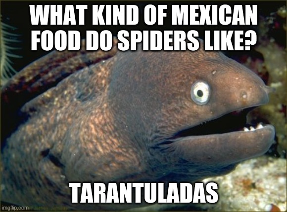 Me gusta! | WHAT KIND OF MEXICAN FOOD DO SPIDERS LIKE? TARANTULADAS | image tagged in memes,bad joke eel,spiders,mexican food | made w/ Imgflip meme maker