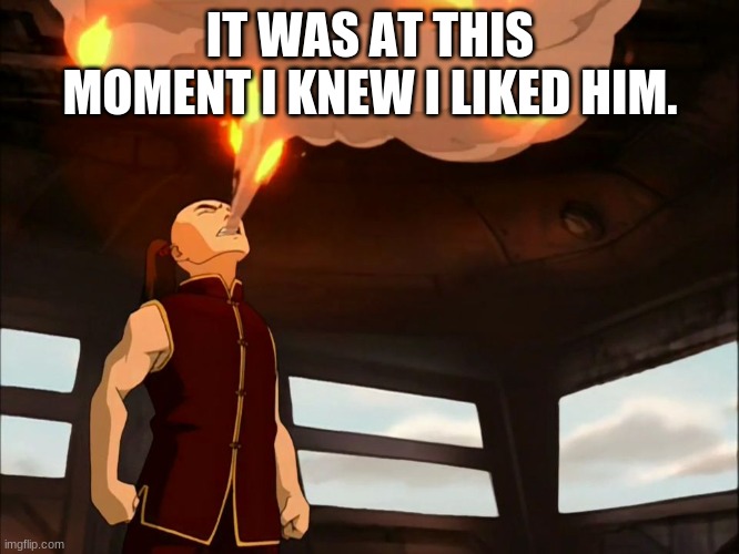 I liked him before he cut it | IT WAS AT THIS MOMENT I KNEW I LIKED HIM. | image tagged in avatar the last airbender,zuko,fire,breath,hot | made w/ Imgflip meme maker