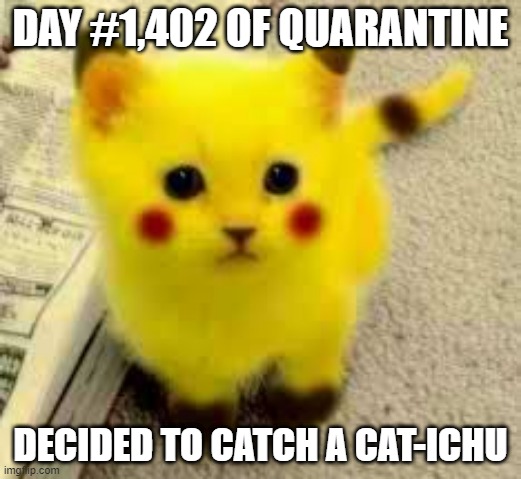 DAY #1,402 OF QUARANTINE; DECIDED TO CATCH A CAT-ICHU | image tagged in pokemon | made w/ Imgflip meme maker