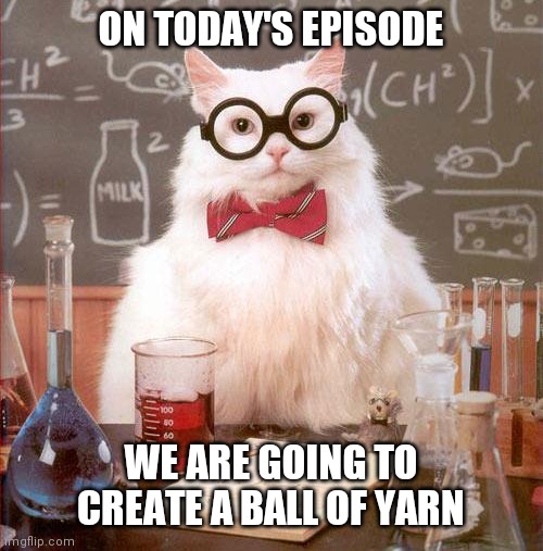 Science Cat | ON TODAY'S EPISODE; WE ARE GOING TO CREATE A BALL OF YARN | image tagged in science cat | made w/ Imgflip meme maker
