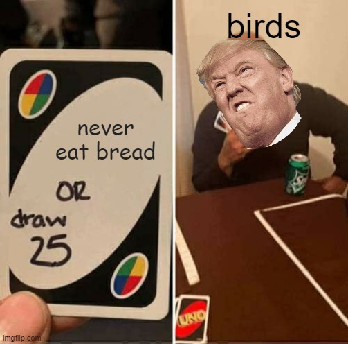 UNO Draw 25 Cards Meme | birds; never eat bread | image tagged in memes,uno draw 25 cards | made w/ Imgflip meme maker