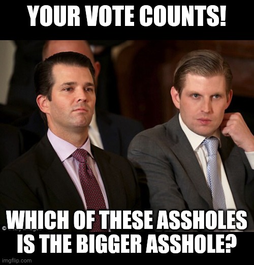 Donald Jr. and Eric Trump | YOUR VOTE COUNTS! WHICH OF THESE ASSHOLES IS THE BIGGER ASSHOLE? | image tagged in donald jr and eric trump | made w/ Imgflip meme maker