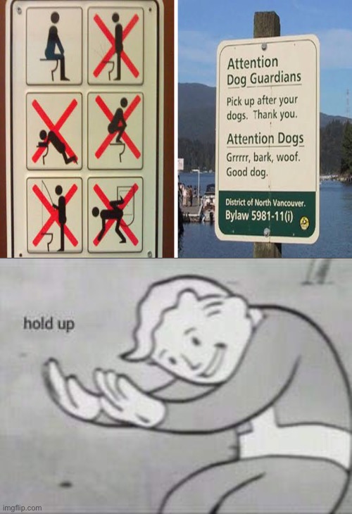 It’s like a dog but it walks on two feet | image tagged in fallout hold up,funny,memes,coronavirus,quarantine | made w/ Imgflip meme maker