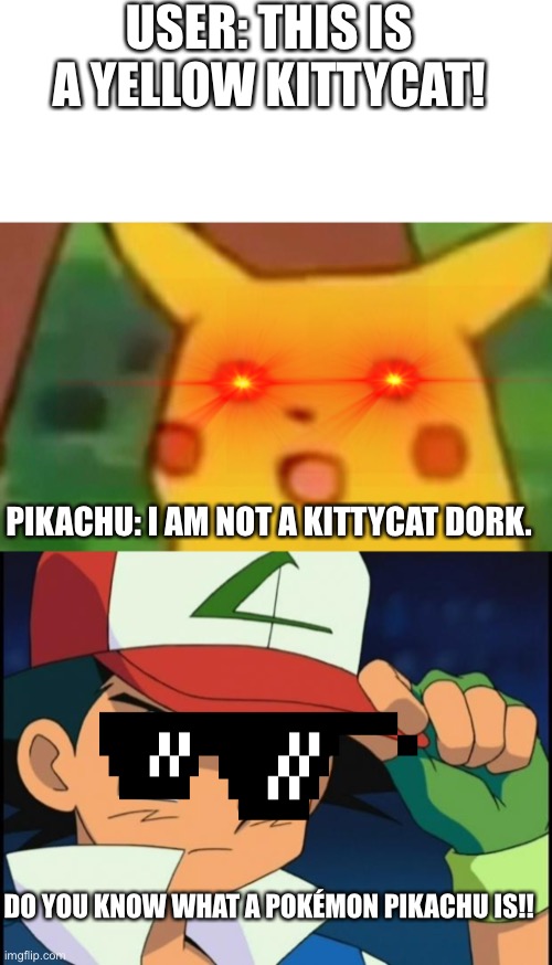 Dumbest Pokémon User | USER: THIS IS A YELLOW KITTYCAT! PIKACHU: I AM NOT A KITTYCAT DORK. DO YOU KNOW WHAT A POKÉMON PIKACHU IS!! | image tagged in ash catchem all pokemon,memes,surprised pikachu | made w/ Imgflip meme maker