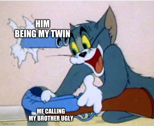 Tom and Jerry | HIM BEING MY TWIN; ME CALLING MY BROTHER UGLY | image tagged in tom and jerry | made w/ Imgflip meme maker