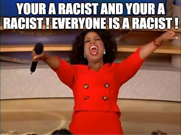Oprah You Get A Meme | YOUR A RACIST AND YOUR A RACIST ! EVERYONE IS A RACIST ! | image tagged in memes,oprah you get a | made w/ Imgflip meme maker