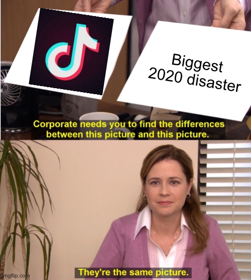 They’re the same pic | Biggest 2020 disaster | image tagged in memes,they're the same picture | made w/ Imgflip meme maker