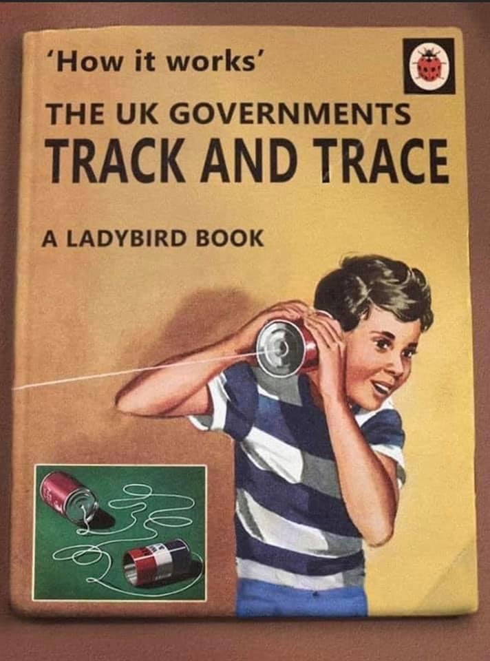 Ladybird track and trace Blank Meme Template