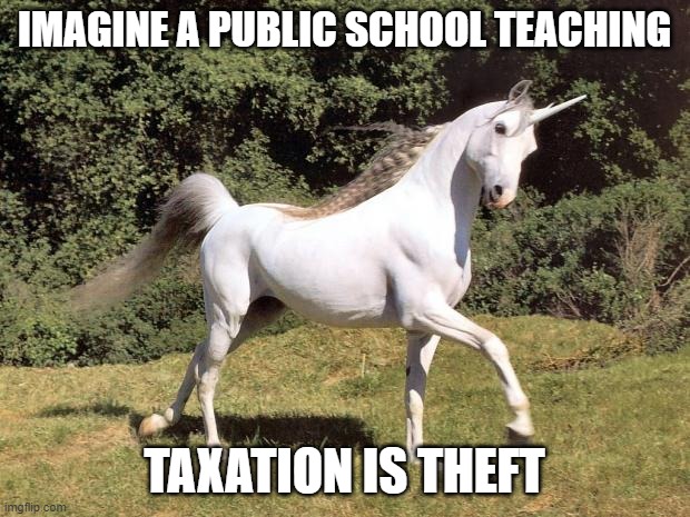 Unicorns | IMAGINE A PUBLIC SCHOOL TEACHING; TAXATION IS THEFT | image tagged in unicorns | made w/ Imgflip meme maker