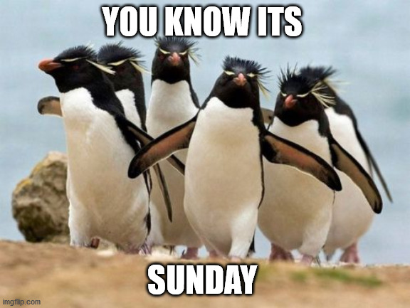 Penguin Gang | YOU KNOW ITS; SUNDAY | image tagged in memes,penguin gang | made w/ Imgflip meme maker