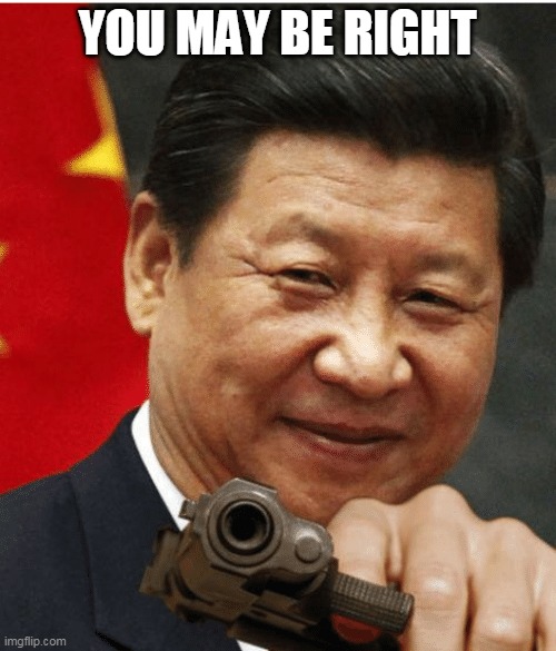 Xi Jinping | YOU MAY BE RIGHT | image tagged in xi jinping | made w/ Imgflip meme maker