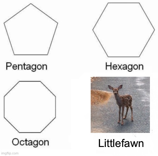Pentagon Hexagon Octagon Meme | Littlefawn | image tagged in memes,pentagon hexagon octagon | made w/ Imgflip meme maker