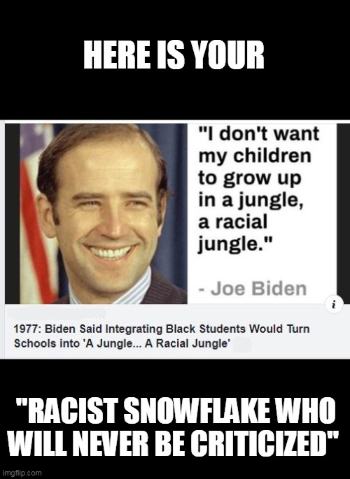 HERE IS YOUR "RACIST SNOWFLAKE WHO WILL NEVER BE CRITICIZED" | made w/ Imgflip meme maker