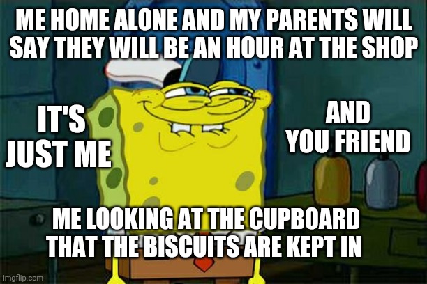 Oh yeah | ME HOME ALONE AND MY PARENTS WILL SAY THEY WILL BE AN HOUR AT THE SHOP; AND YOU FRIEND; IT'S JUST ME; ME LOOKING AT THE CUPBOARD THAT THE BISCUITS ARE KEPT IN | image tagged in memes,don't you squidward | made w/ Imgflip meme maker