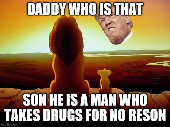 Lion King | DADDY WHO IS THAT; SON HE IS A MAN WHO TAKES DRUGS FOR NO RESON | image tagged in memes,lion king | made w/ Imgflip meme maker