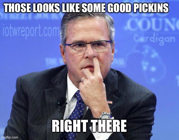 Jeb Bush Nostril Explorer | THOSE LOOKS LIKE SOME GOOD PICKINS RIGHT THERE | image tagged in jeb bush nostril explorer | made w/ Imgflip meme maker