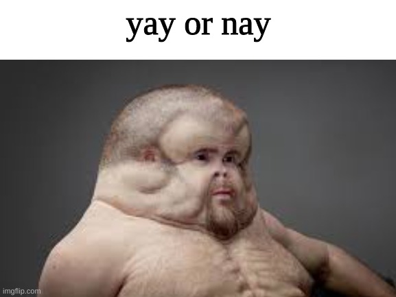 yay or nay | made w/ Imgflip meme maker