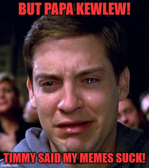 crying peter parker | BUT PAPA KEWLEW! TIMMY SAID MY MEMES SUCK! | image tagged in crying peter parker | made w/ Imgflip meme maker