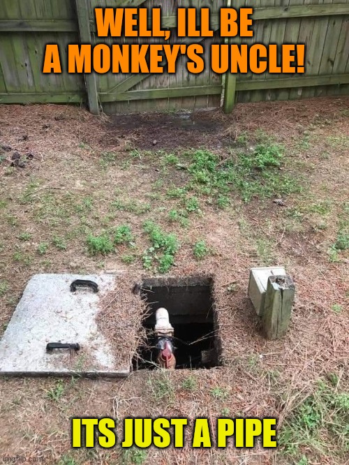 Backyard Baboon | WELL, ILL BE A MONKEY'S UNCLE! ITS JUST A PIPE | image tagged in baboon,pipe,optical illusion | made w/ Imgflip meme maker