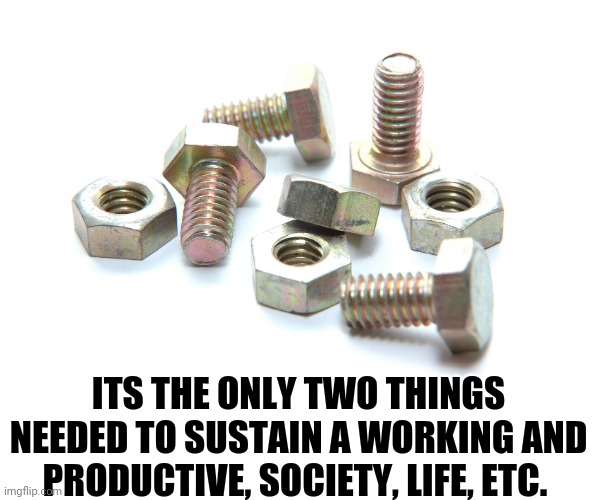 Nuts and bolts | ITS THE ONLY TWO THINGS NEEDED TO SUSTAIN A WORKING AND PRODUCTIVE, SOCIETY, LIFE, ETC. | image tagged in nuts and bolts | made w/ Imgflip meme maker