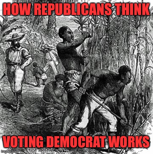 When they say black Democrats are plantation slaves: Guess what! That’s racist! | HOW REPUBLICANS THINK VOTING DEMOCRAT WORKS | image tagged in plantation slaves,racist,racists,slaves,conservative logic,republicans | made w/ Imgflip meme maker
