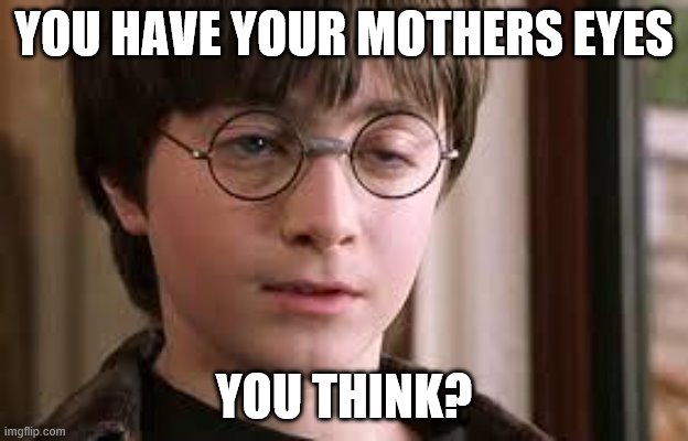 Harry Potter Stoned | YOU HAVE YOUR MOTHERS EYES; YOU THINK? | image tagged in harry potter stoned | made w/ Imgflip meme maker