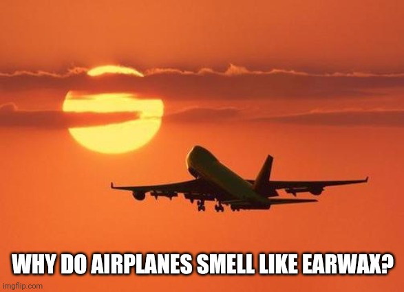Why do I have such weird thoughts | WHY DO AIRPLANES SMELL LIKE EARWAX? | image tagged in airplanelove | made w/ Imgflip meme maker