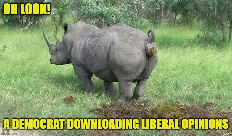 Democrat downloading liberal opinions | OH LOOK! A DEMOCRAT DOWNLOADING LIBERAL OPINIONS | image tagged in gifs,rhino,democrat,opinion | made w/ Imgflip meme maker