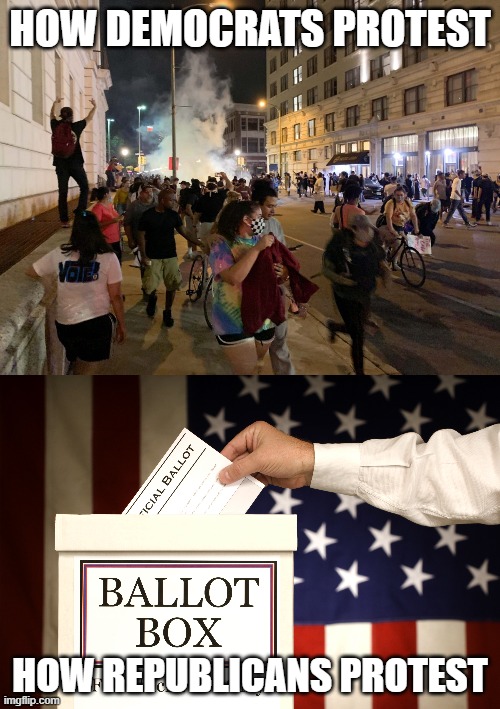 The Difference between how people protest,, |  HOW DEMOCRATS PROTEST; HOW REPUBLICANS PROTEST | image tagged in democrats,republicans | made w/ Imgflip meme maker