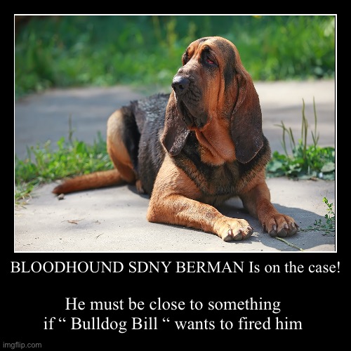 Bloodhound Berman | image tagged in funny,demotivationals | made w/ Imgflip demotivational maker