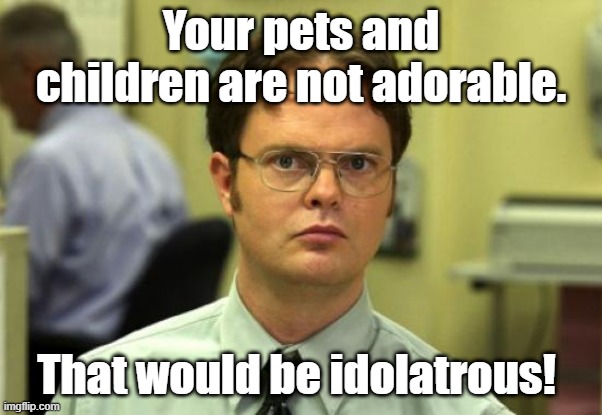 Not adorable, that's idolatrous | Your pets and children are not adorable. That would be idolatrous! | image tagged in dwight schrute,adorable,idol,the office,children,pets | made w/ Imgflip meme maker
