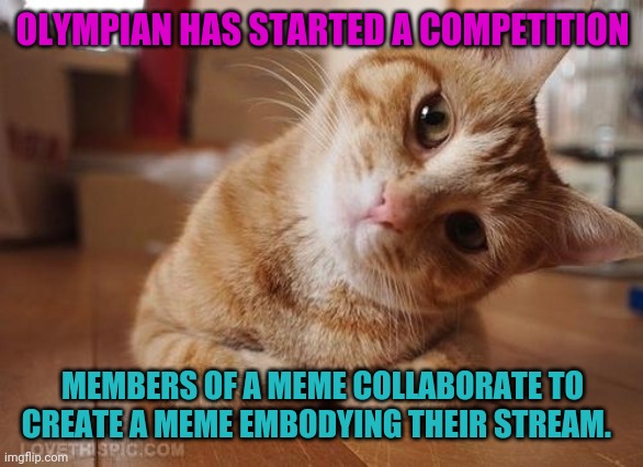 Are we in? Could get some more girls to join. | OLYMPIAN HAS STARTED A COMPETITION; MEMBERS OF A MEME COLLABORATE TO CREATE A MEME EMBODYING THEIR STREAM. | image tagged in curious question cat | made w/ Imgflip meme maker