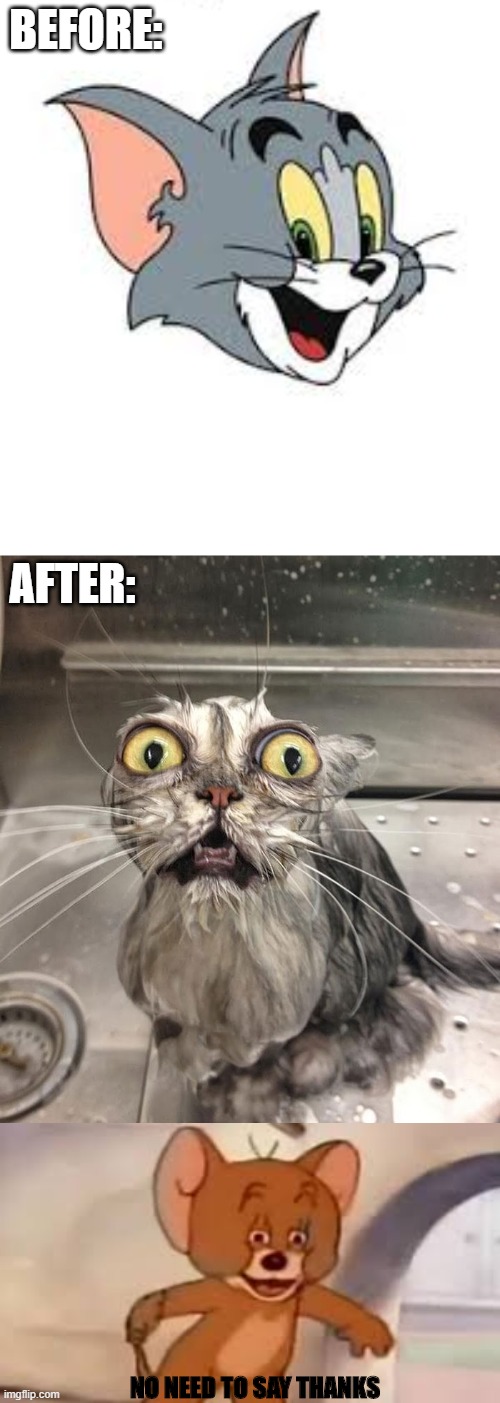 With makeup Without makeup | BEFORE:; AFTER:; NO NEED TO SAY THANKS | image tagged in tom and jerry | made w/ Imgflip meme maker