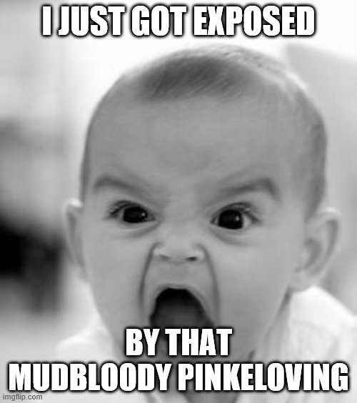 i hate pinkeloving so much | I JUST GOT EXPOSED; BY THAT MUDBLOODY PINKELOVING | image tagged in memes,angry baby,exposed | made w/ Imgflip meme maker