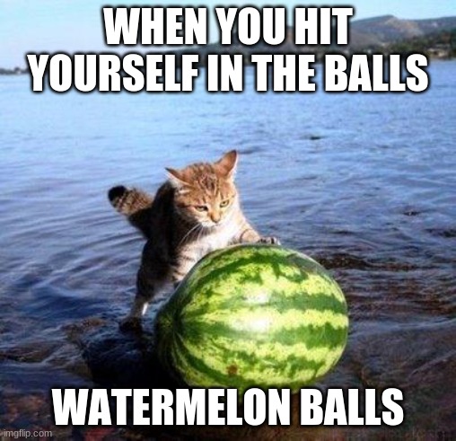 Argument invalid watermelon cat | WHEN YOU HIT YOURSELF IN THE BALLS; WATERMELON BALLS | image tagged in argument invalid watermelon cat | made w/ Imgflip meme maker